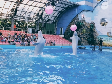 Харьковский дельфинарий «Немо»