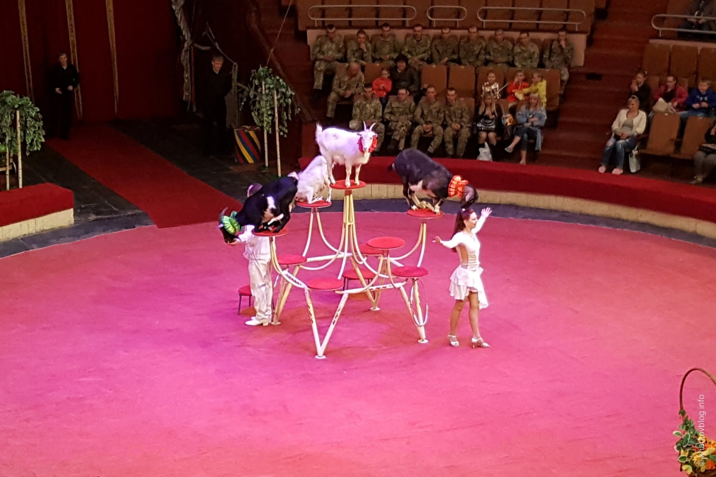 Харьковский цирк