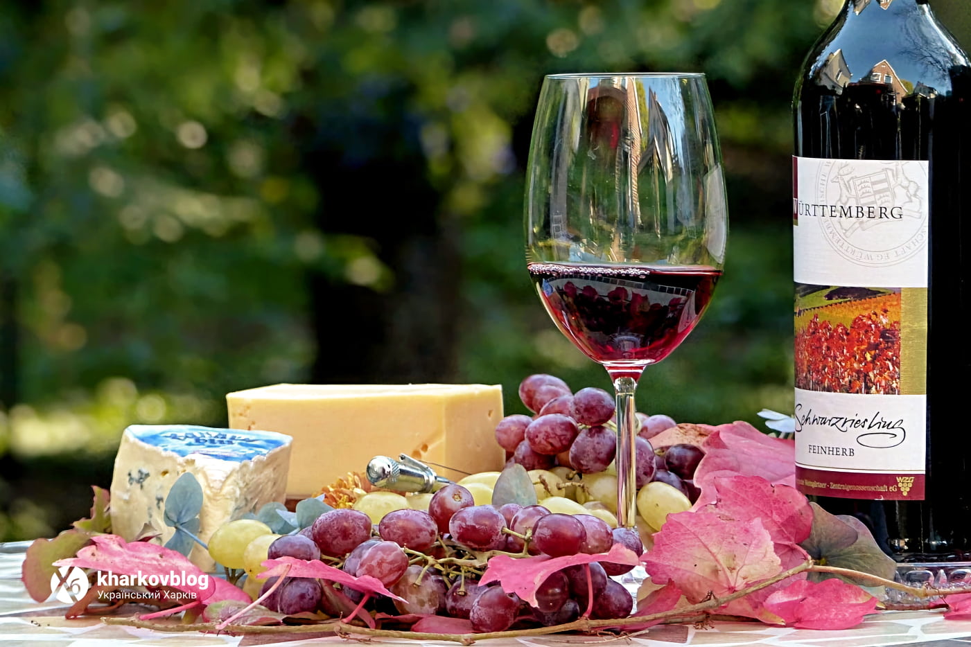 Винная осень: выбираем бокалы для «осенних» вин