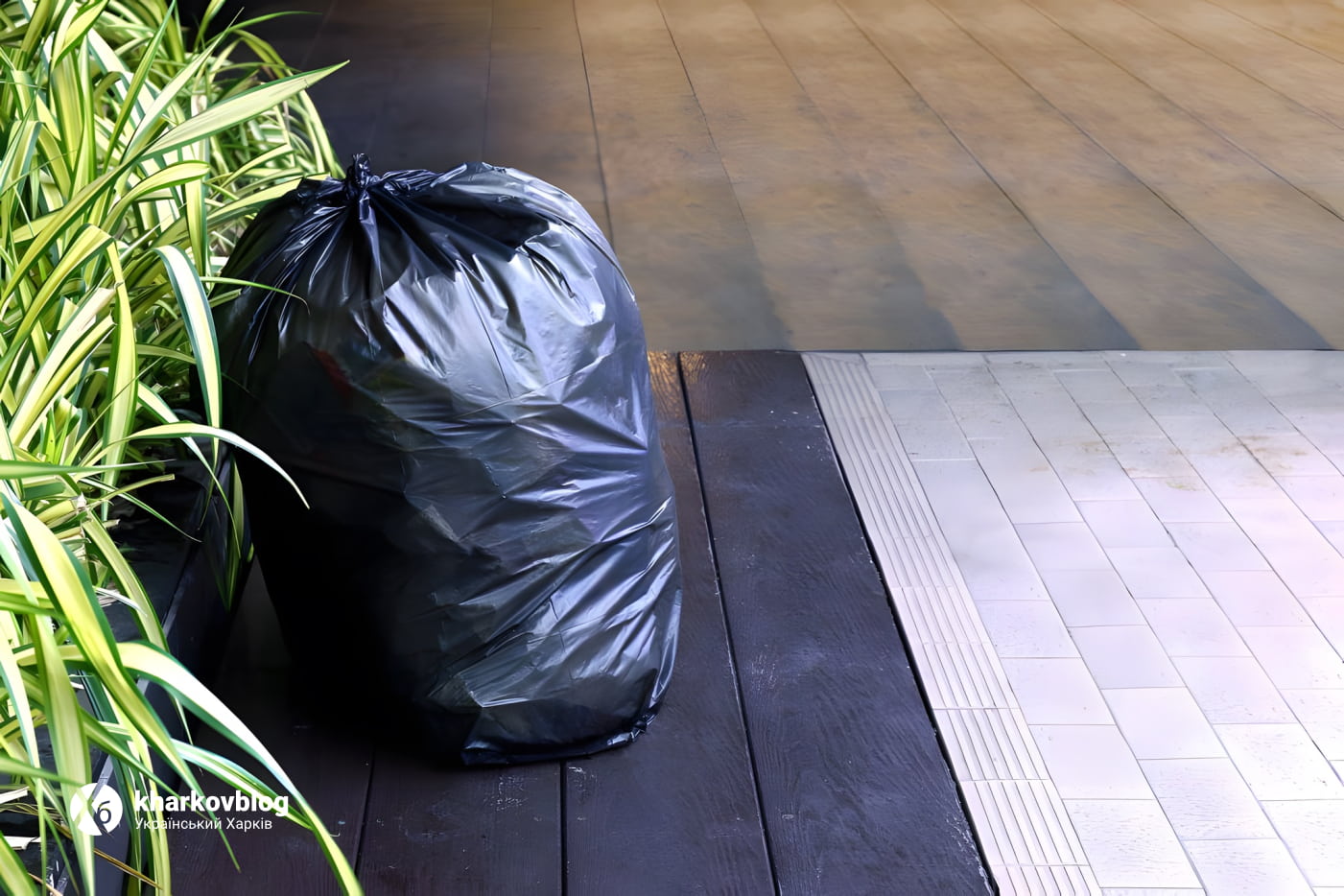 Почему стоит приобрести биопакеты для мусора