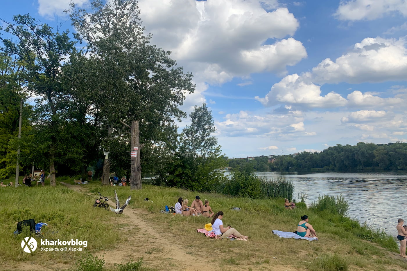 Кулиничевский пруд на реке Немышля